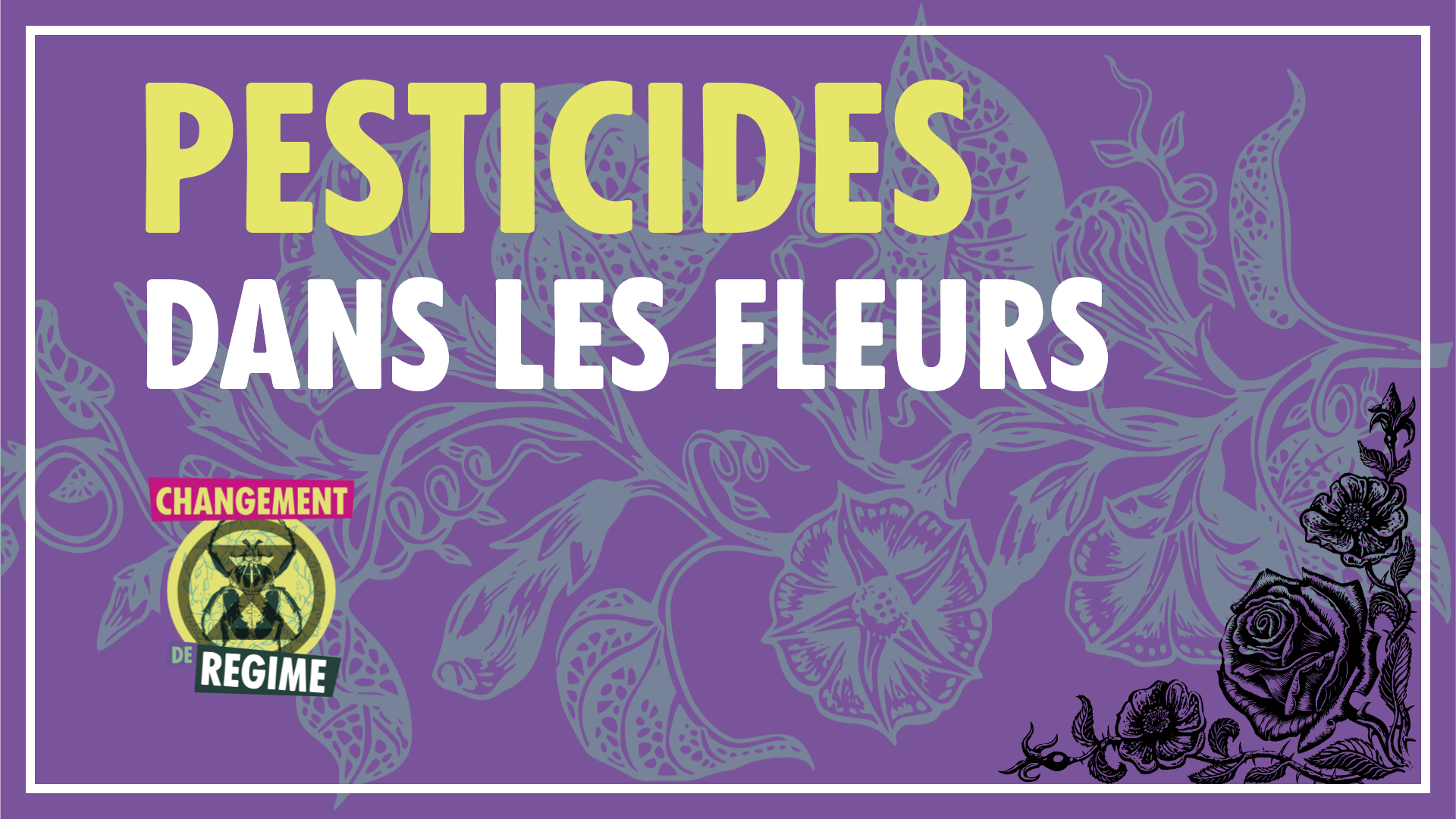 illustration article fleurs