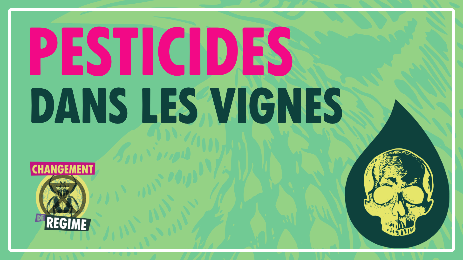 illustration article pesticides dans les vignes