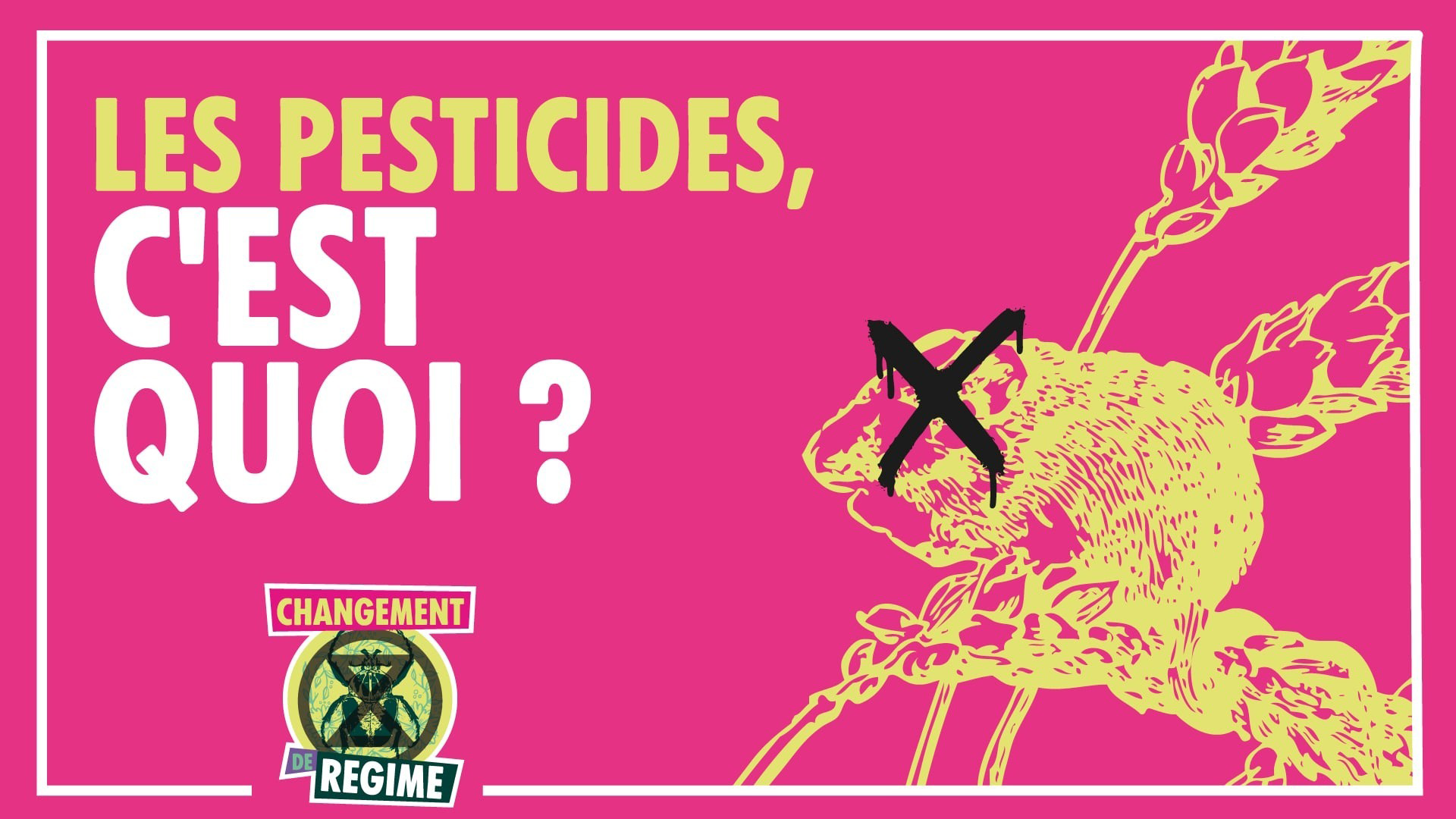 illustration article les pesticides cest quoi