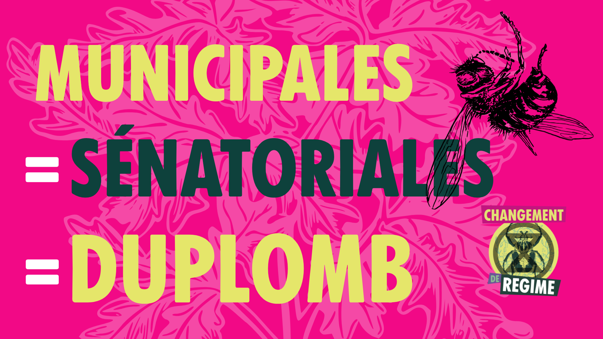 illustration article municipales senatoriales duplomb